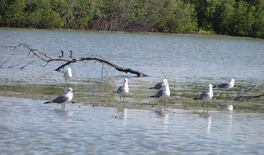 El patrimonio natural que debemos proteger 