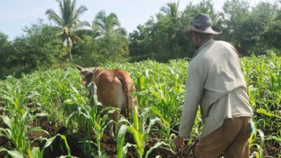 Campesinos tuneros apoyan a la Anap en su aniversario 65