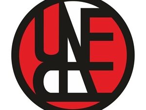 Declaración de la Unión de Escritores y Artistas de Cuba
