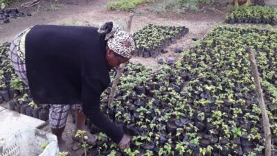 Maribel, resiliencia femenina en el campo
