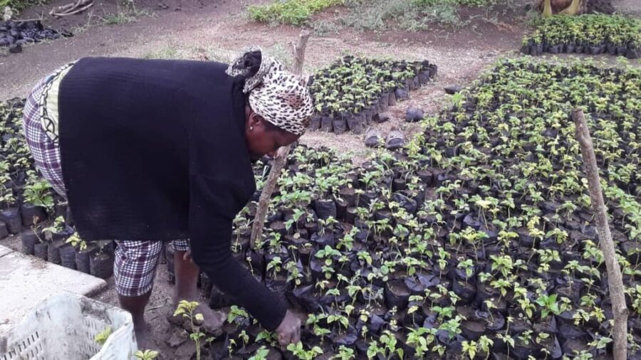 Maribel, resiliencia femenina en el campo
