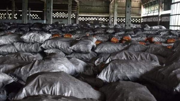 Incumple Las Tunas producción de carbón vegetal