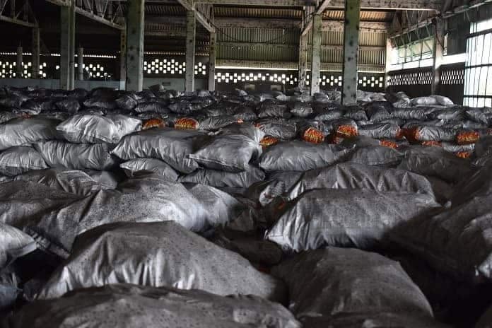 Incumple Las Tunas producción de carbón vegetal