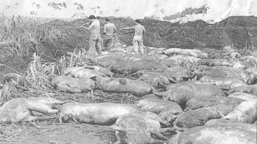 Guerra bacteriológica contra Cuba, un asunto de décadas