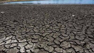 Desertificación, otro escollo para la producción de alimentos