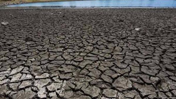 Desertificación, otro escollo para la producción de alimentos
