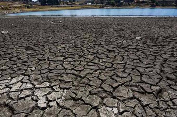 Desertificación, otro escollo para la producción de alimentos