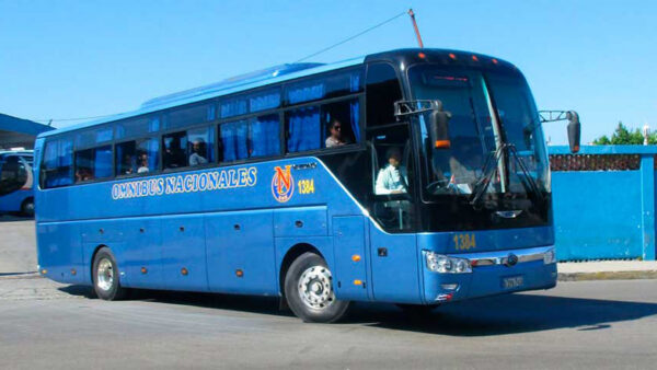 Anuncian nuevo procedimiento para viajes interprovinciales en ómnibus y trenes