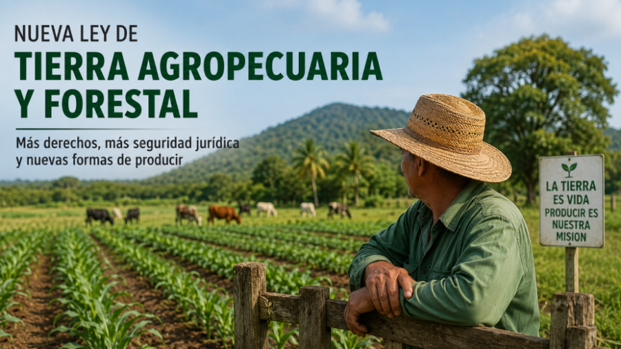 La tierra entra en una nueva etapa: Qué cambia con la futura Ley de Tierra Agropecuaria y Forestal