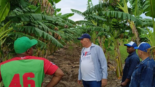 Primer secretario del Partido evalúa producción de alimentos en Jobabo y Colombia