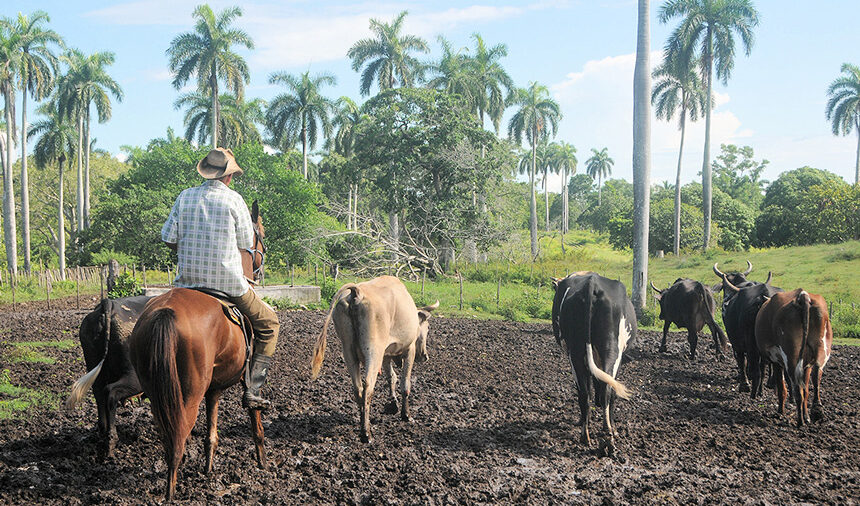 Potencialidades para transformar al sector agropecuario