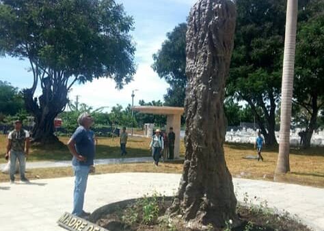 Mariana Grajales, fragua de héroes y símbolo eterno de Cuba