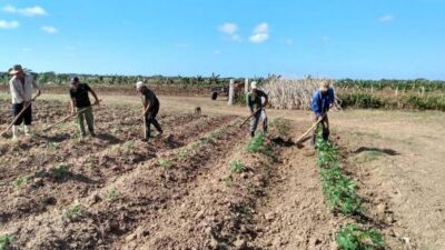 Producir alimentos para ganar en soberanía