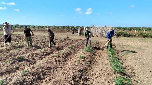 Producir alimentos para ganar en soberanía