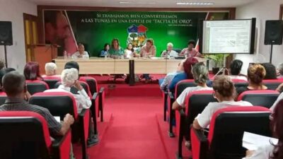 Chequea ministra de Comercio Interior programas del sector en Las Tunas