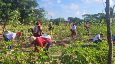 Celebran federadas tuneras su aniversario 66 con trabajo voluntario y acto municipal