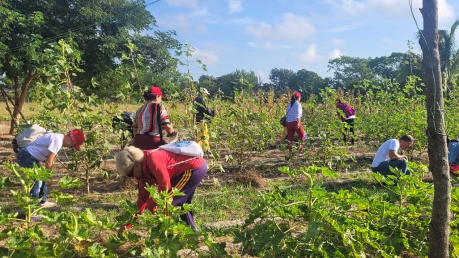 Celebran federadas tuneras su aniversario 66 con trabajo voluntario y acto municipal