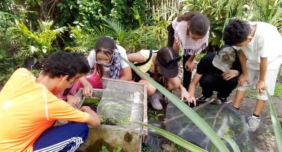 El Manuscrito Perdido: de la mano literatura y botánica en la finca Verdecia