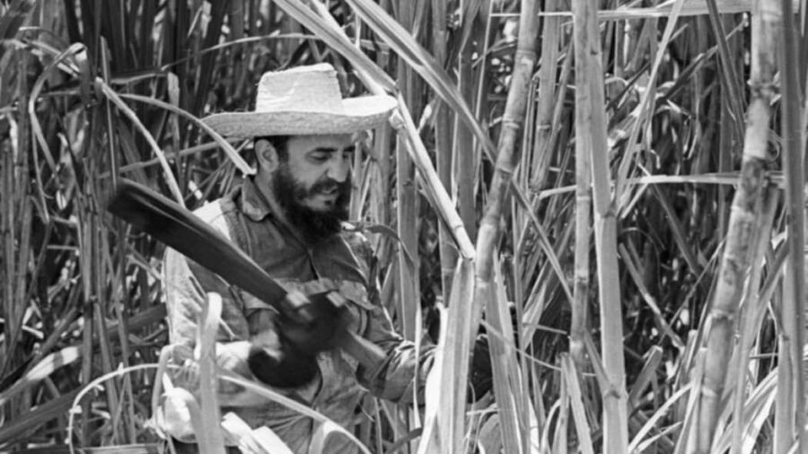 Fidel: huellas de un gigante en Puerto Padre
