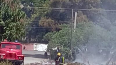 El veneno invisible que nos tragamos