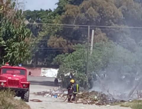 El veneno invisible que nos tragamos