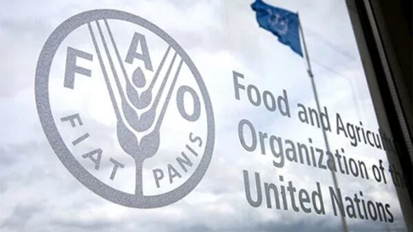 Comienza en Roma el Foro Mundial de la Alimentación de la FAO