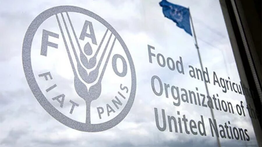 Comienza en Roma el Foro Mundial de la Alimentación de la FAO