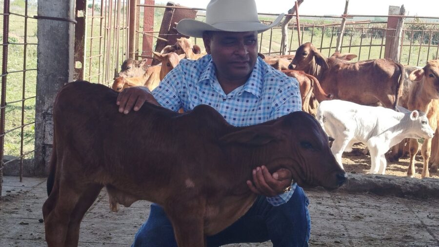 Ganadero de Las Tunas merece premio Guillermo Leyva