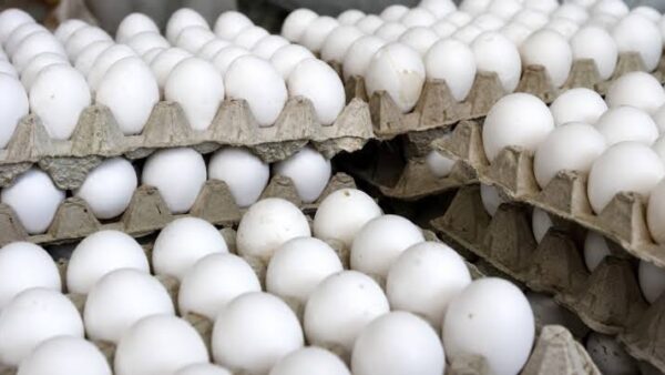 Punto de vista: Los precios de los alimentos en Cuba y la imposibilidad de acceso para amplios sectores de la población