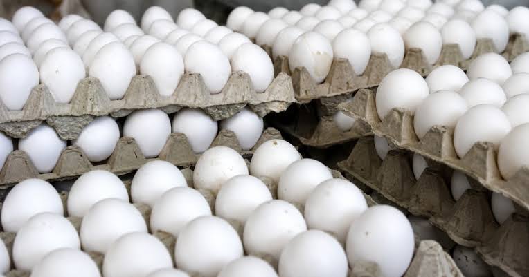 Punto de vista: Los precios de los alimentos en Cuba y la imposibilidad de acceso para amplios sectores de la población